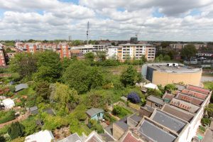 Navarino Grove, E8 acquisition